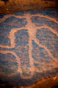 Courthouse Wash Rock Art Panel