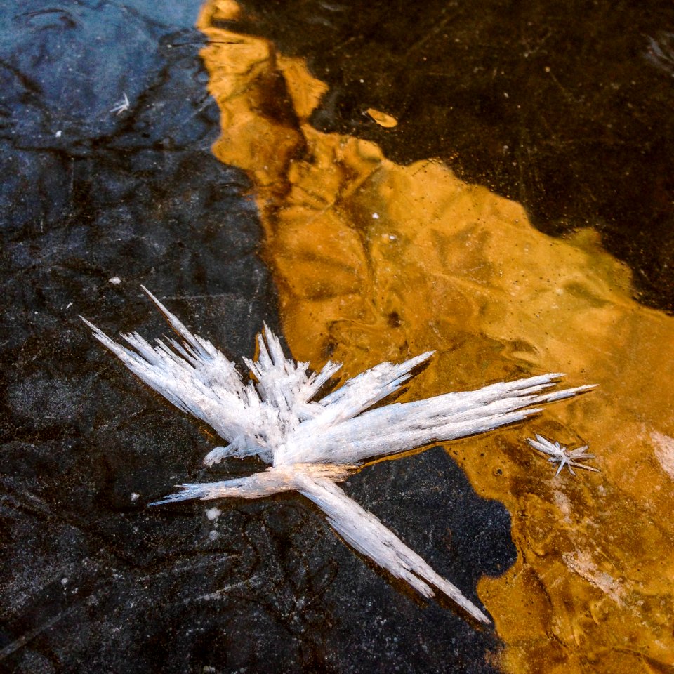 Hoar Frost Spaceships
