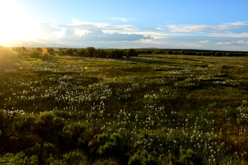 Illinois River on Arapaho National Wildlife Refuge