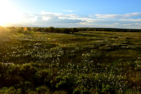 Illinois River on Arapaho National Wildlife Refuge