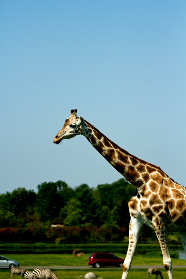 I am tall and I know it.