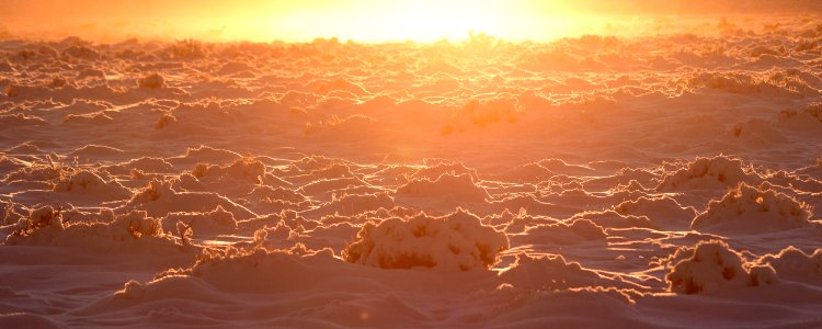 Sage steppe in winter at Seedskadee National Wildlife Refuge