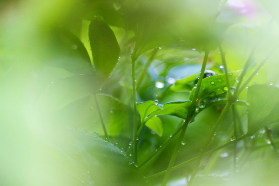 Rainy Day Macro 7