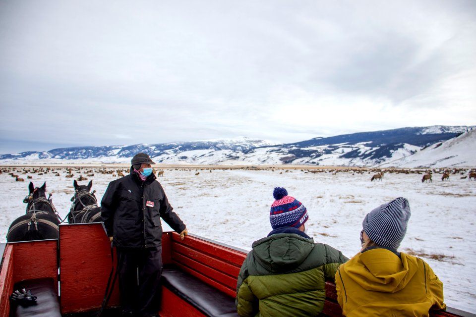 Winter Sleigh Ride