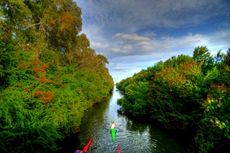 Ciane saline in canoa