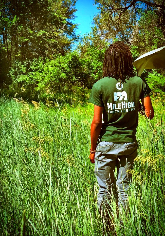 MHYC Steward