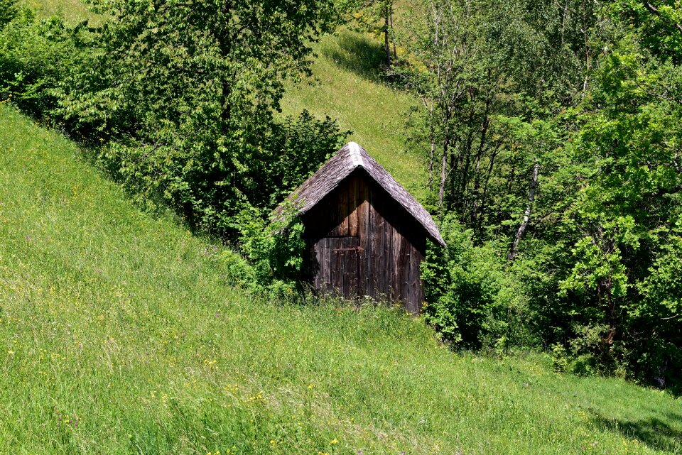 Log cabin nature green
