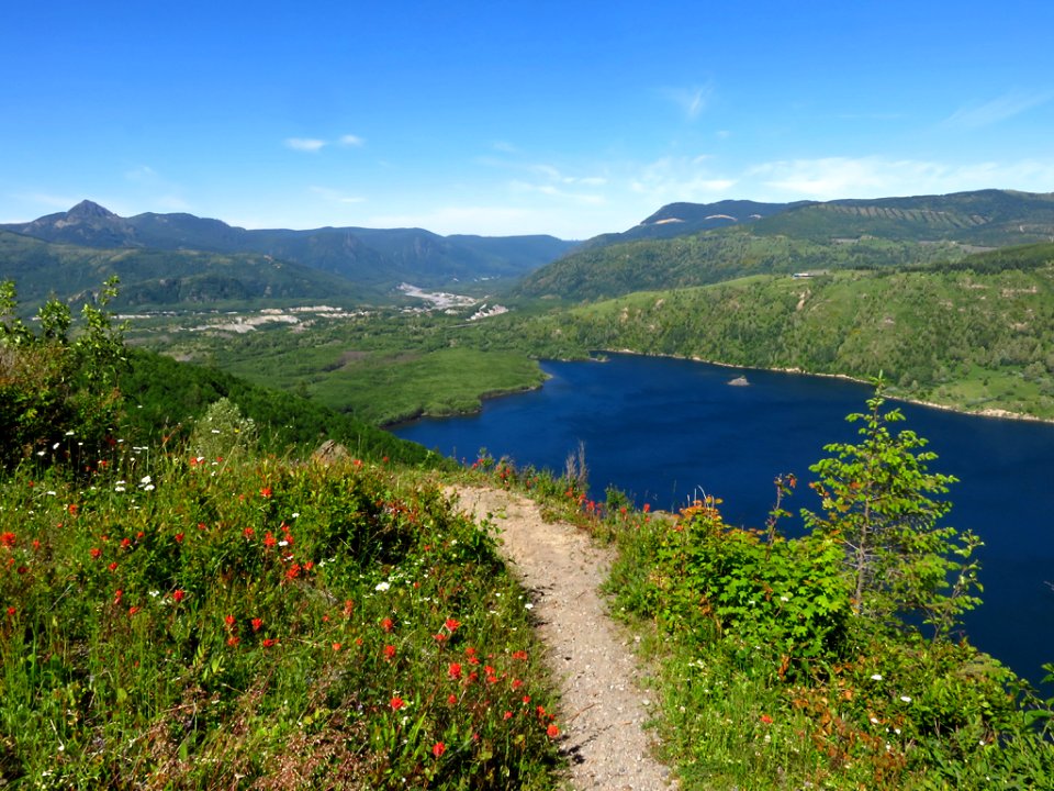 Coldwater Lake Trail at Mt. St. Helens NM in Washington