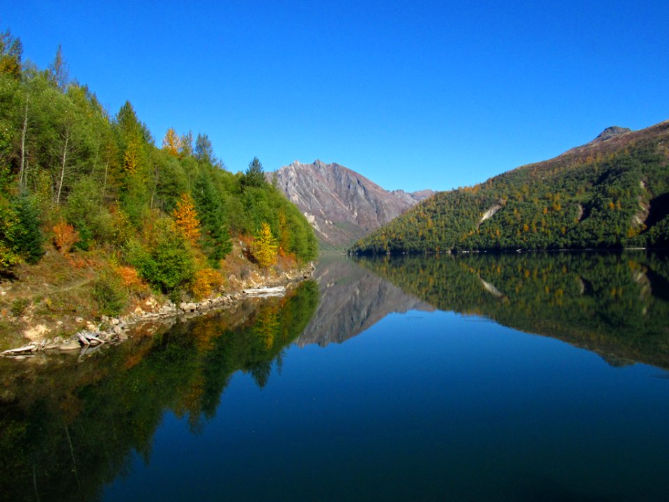 Coldwater Lake Trail at Mt. St. Helens