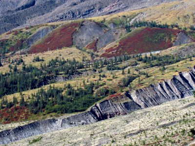 Ape Canyon Trail at Mt. St. Helens