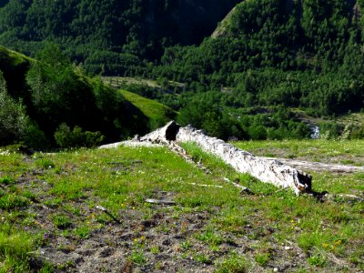 Coldwater Lake Trail at Mt. St. Helens NM in Washington