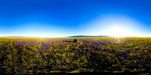 Carrizo Plain National Monument
