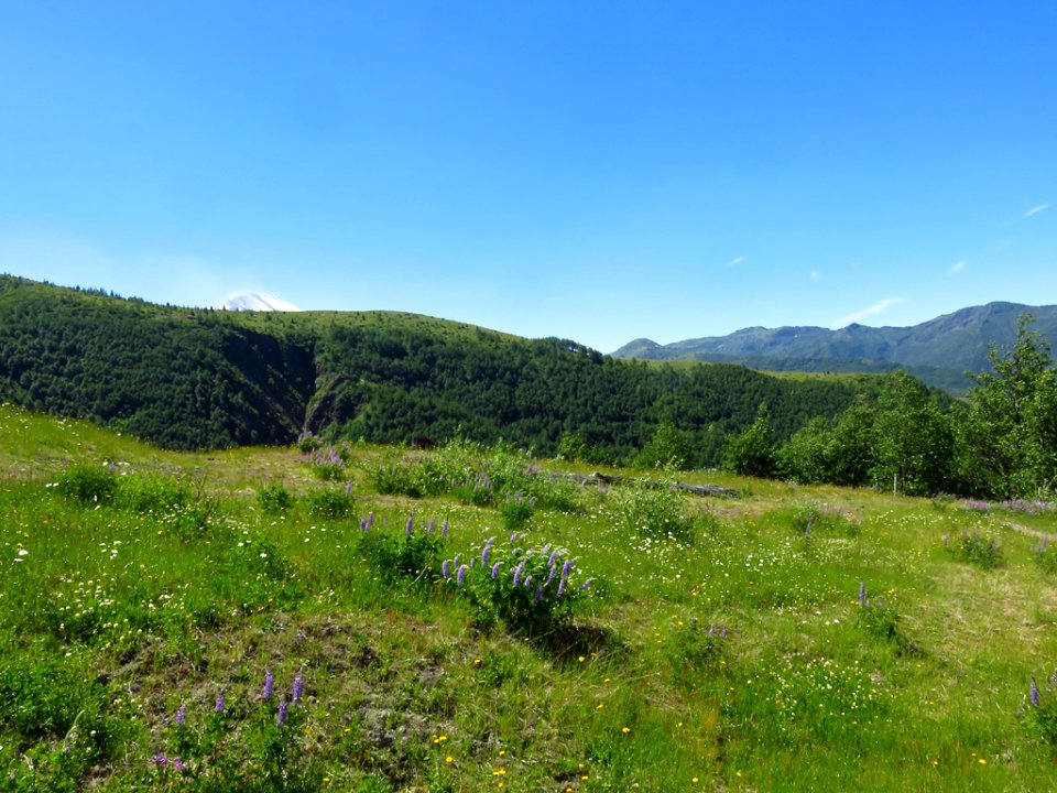 Coldwater Lake Trail at Mt. St. Helens NM in Washington