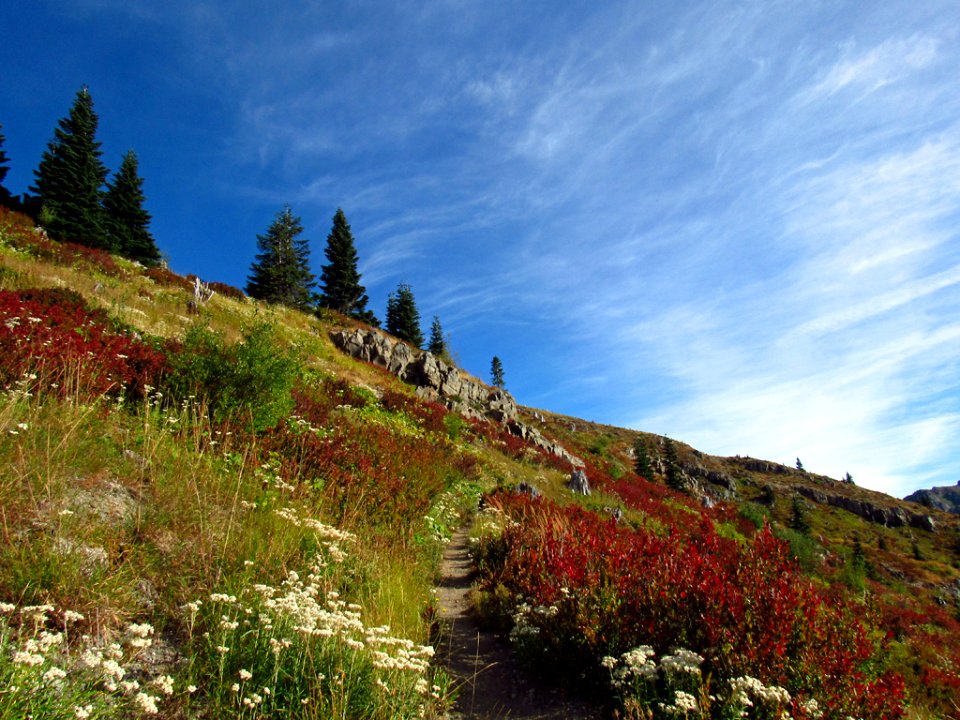 Mt. Margaret Backcountry in Washington