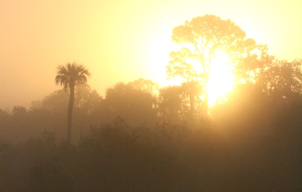 Foggy Sunrise Bear Island