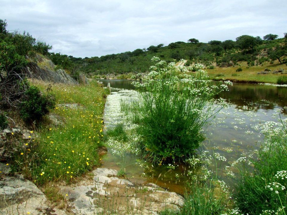 Ribera de Membrío
