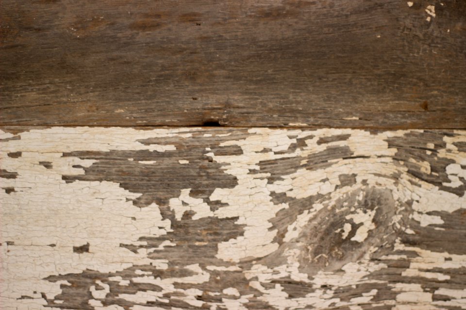 Wood Texture