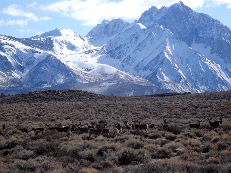 Long Valley Caldera