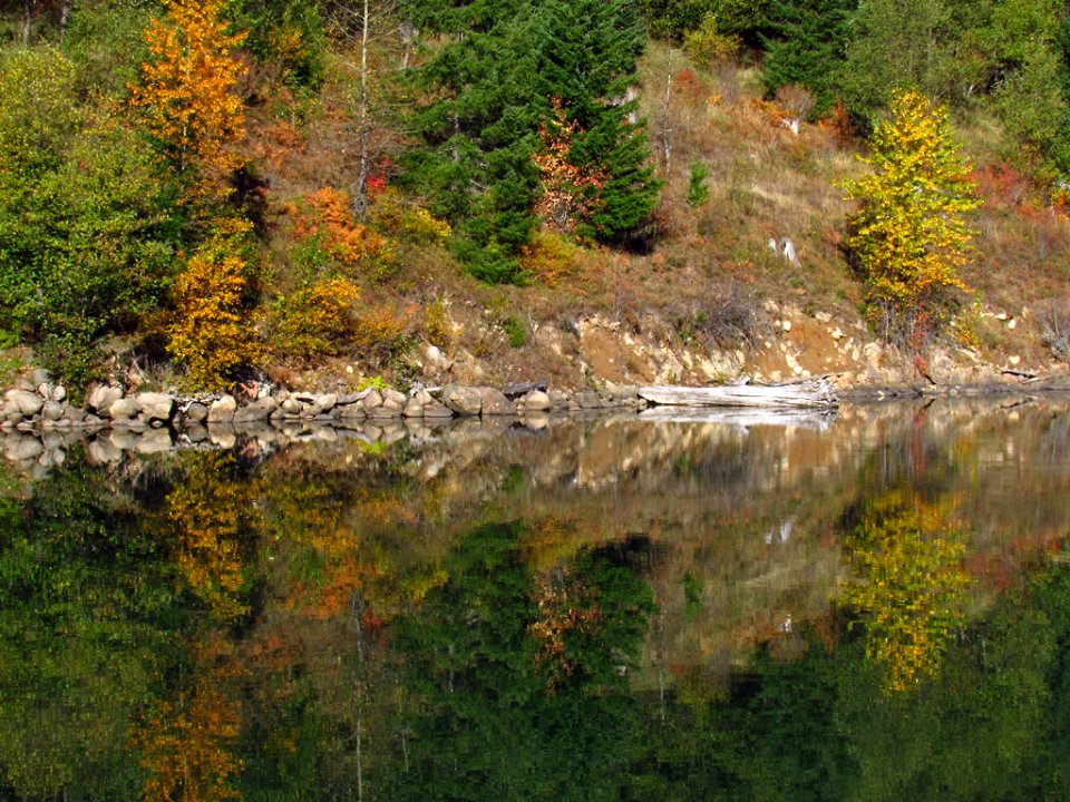 Coldwater Lake Trail at Mt. St. Helens