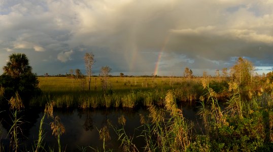 rainbows