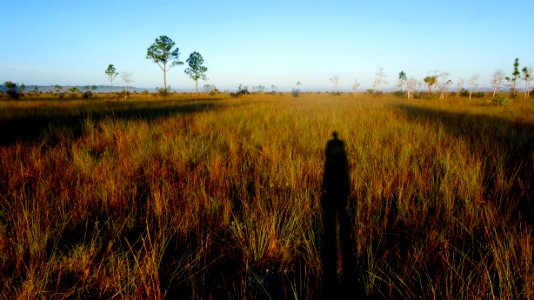 Prairie