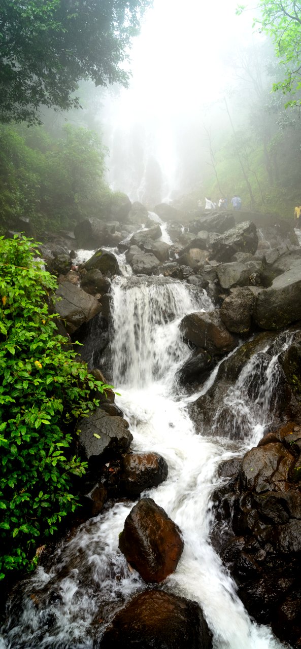 Descent from the mist