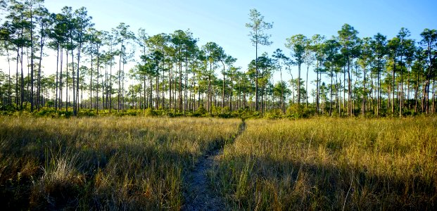 Florida Trail
