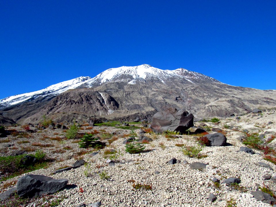 Plains of Abraham at Mt. St. Helens