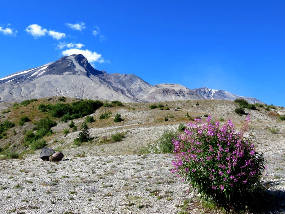 Truman / Loowit Trail at Mt. St. Helens NM in WA