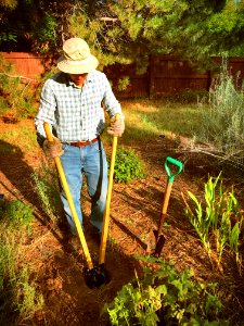 Two Ponds Tuesday Dig