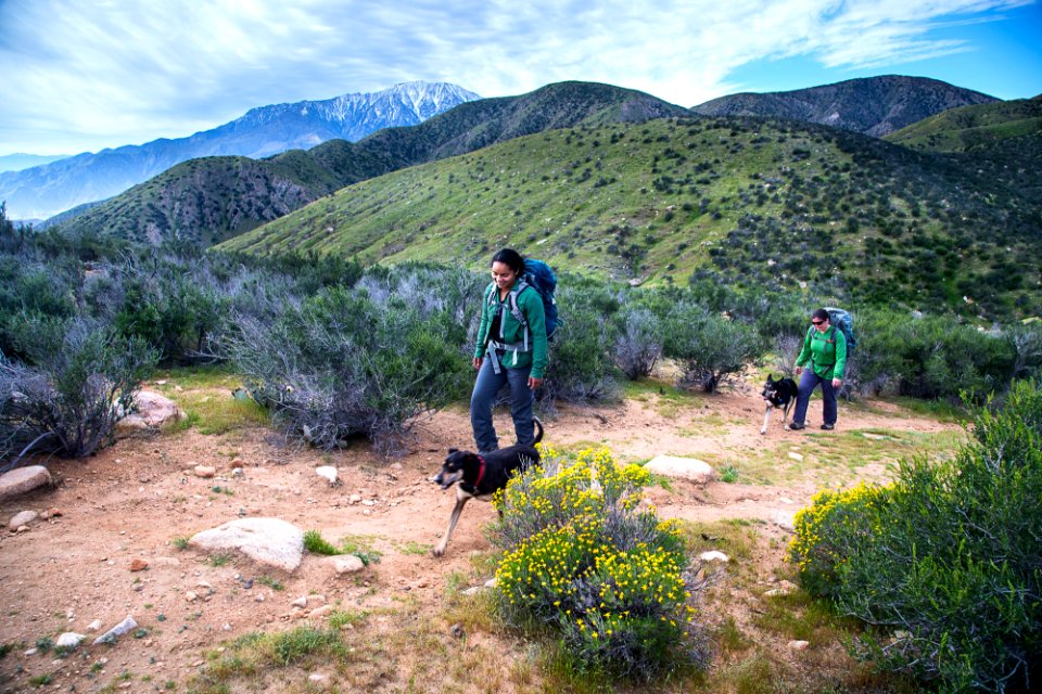 Pacific Crest Trail