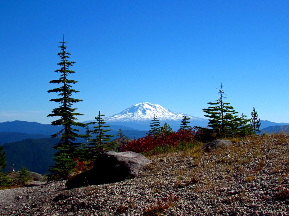 Ape Canyon Trail at Mt. St. Helens