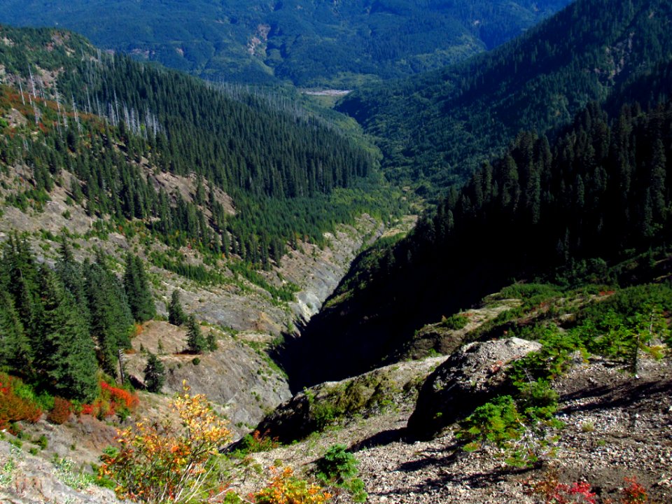 Ape Canyon Trail at Mt. St. Helens