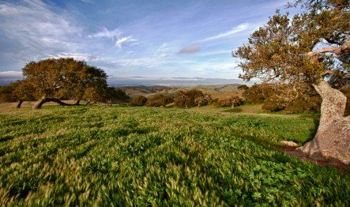 Fort Ord Scenery photo