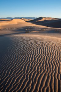 Cadiz Dunes Wilderness