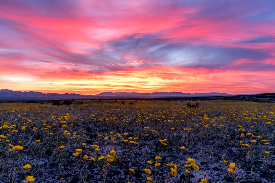 TOP WINNER: Amboy Crater in Mojave Trails National Monument in Needles Field Office