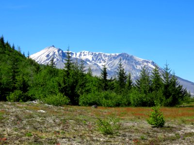 Windy Ridge at Mt. St. Helens NM in Washington
