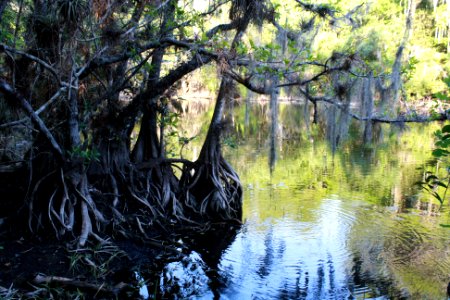 Sweetwater strand