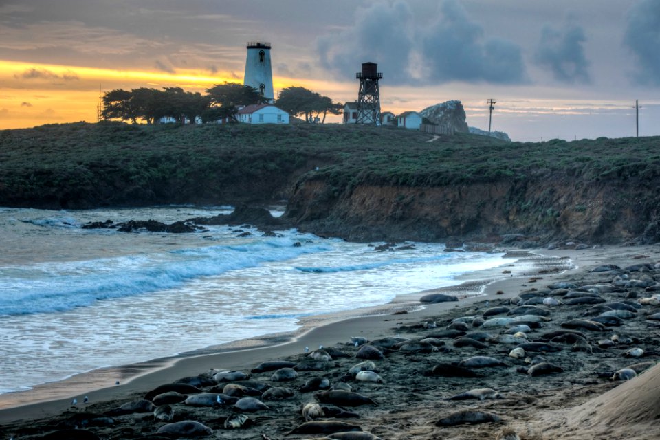 Piedras Blancas Light Station