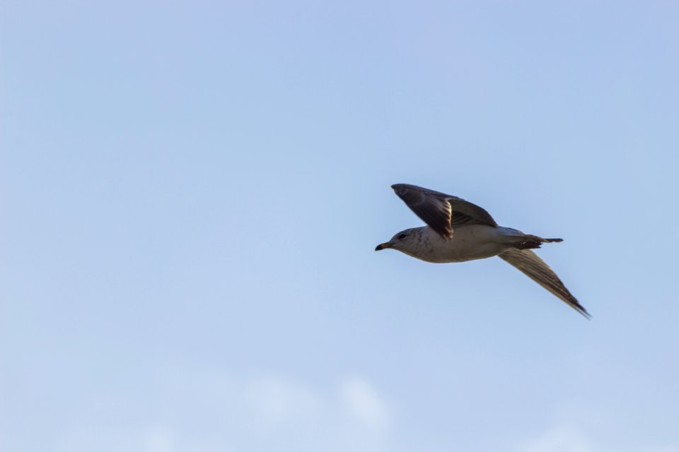 IMG 2547