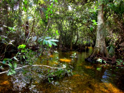 headwaters of turner river