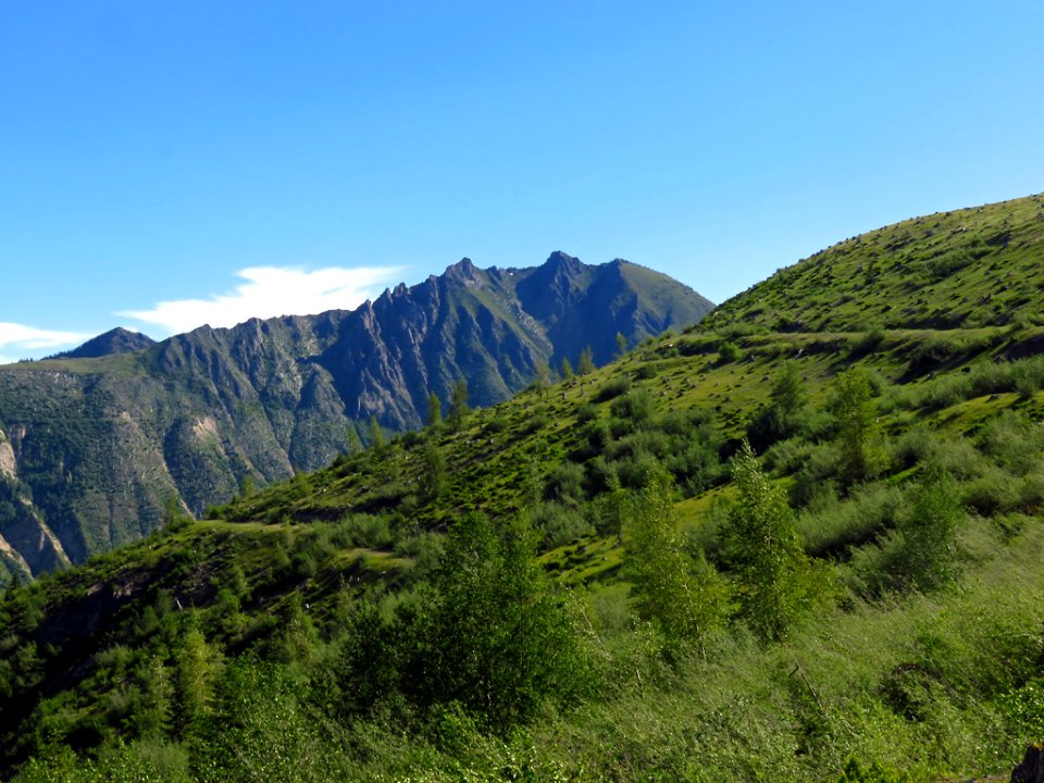 Coldwater Lake Trail at Mt. St. Helens NM in Washington