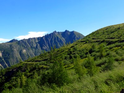 Coldwater Lake Trail at Mt. St. Helens NM in Washington