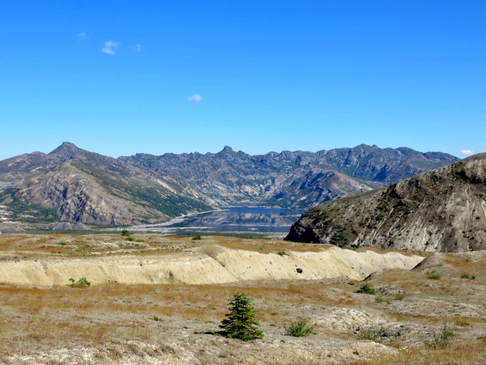 Truman / Loowit Trail at Mt. St. Helens NM in WA