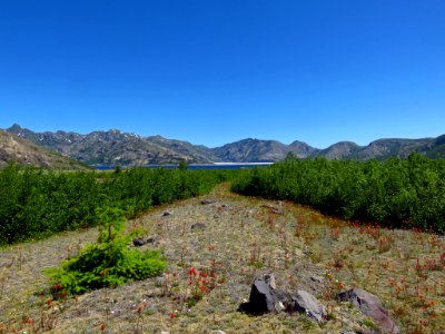 Loowit Falls Hike at Mt. St. Helens NM in Washington