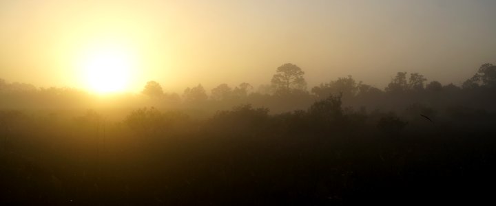 Morning Fog over Bear Island