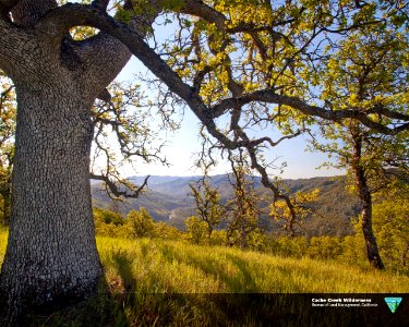 Cache Creek Wilderness
