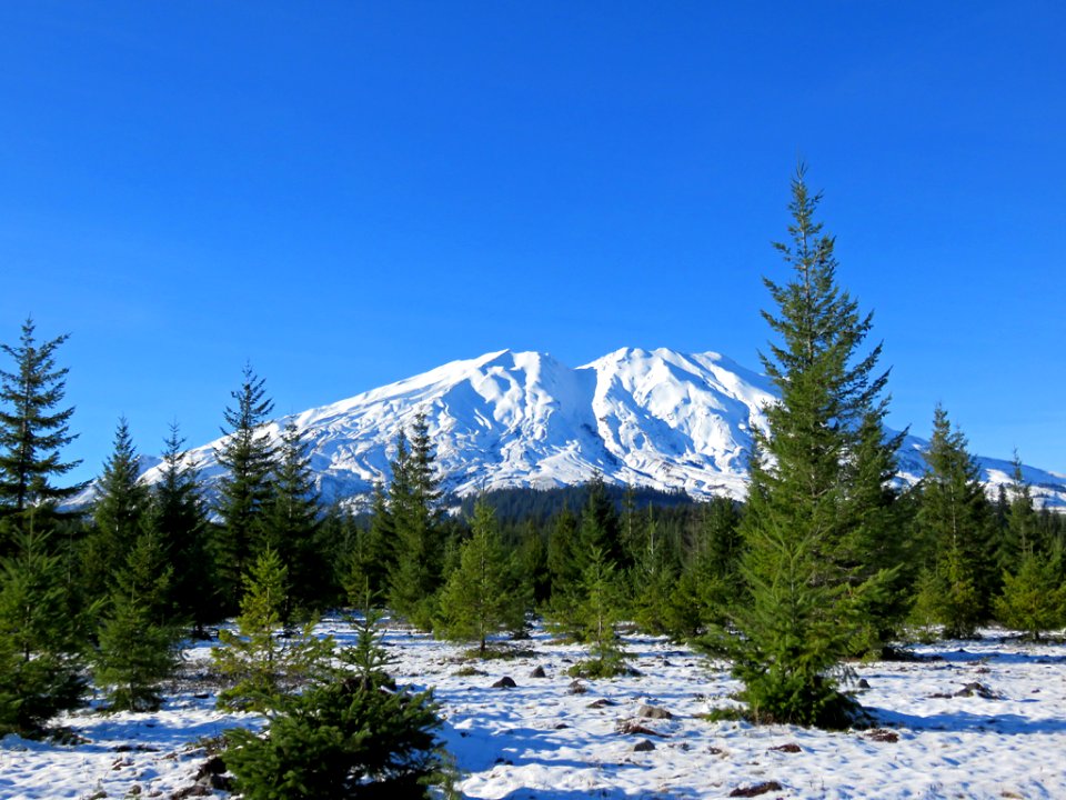 Lahar Viewpoint at Mt. St. Helens NM in WA