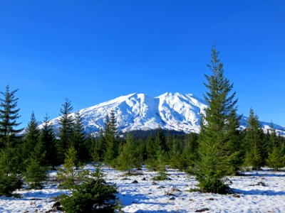 Lahar Viewpoint at Mt. St. Helens NM in WA photo