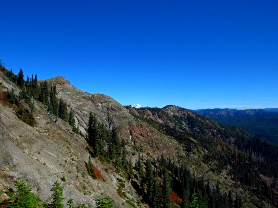 Ape Canyon Trail at Mt. St. Helens